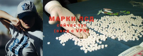 винт Пересвет
