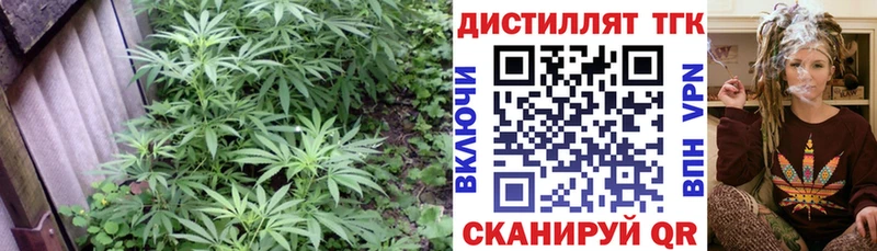 ТГК THC oil  Губкин 