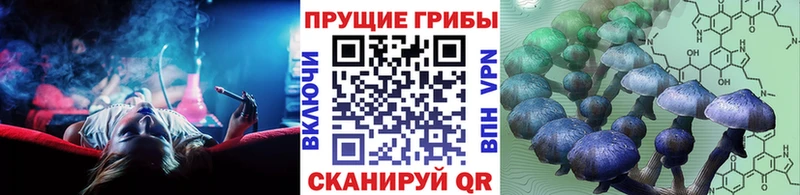 Псилоцибиновые грибы прущие грибы Губкин