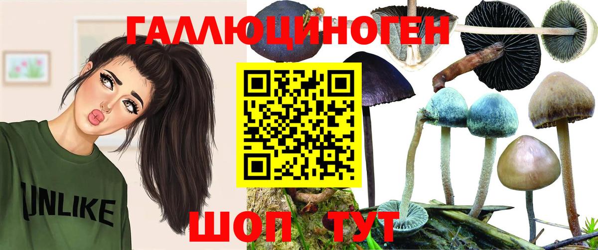 Галлюциногенные грибы мицелий  Вход с VPN  Губкин 