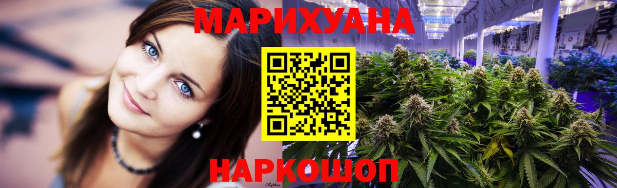 Канабис гибрид Губкин